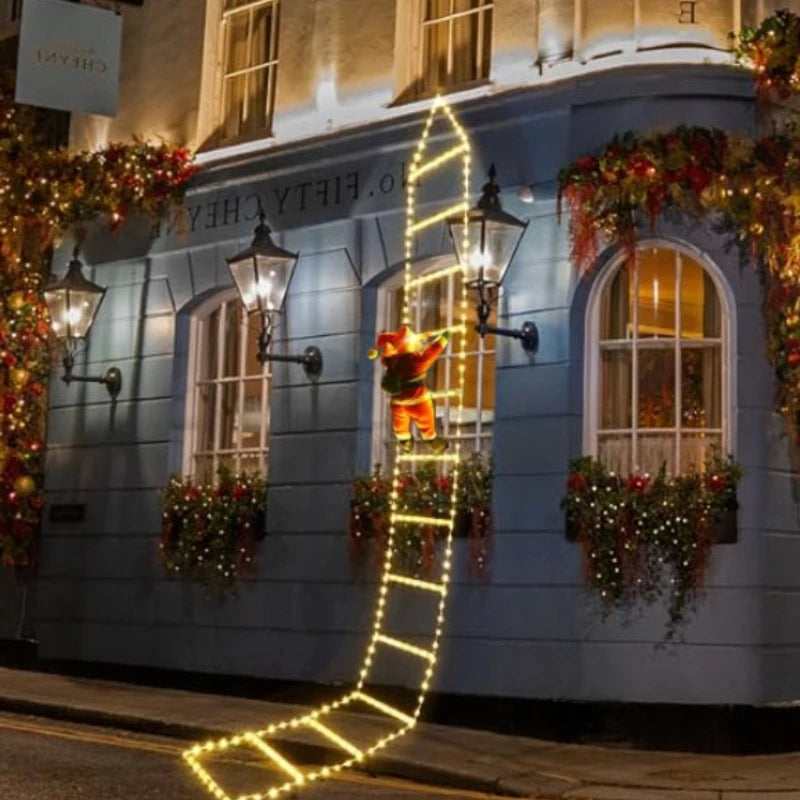 Christmas LED ladder!