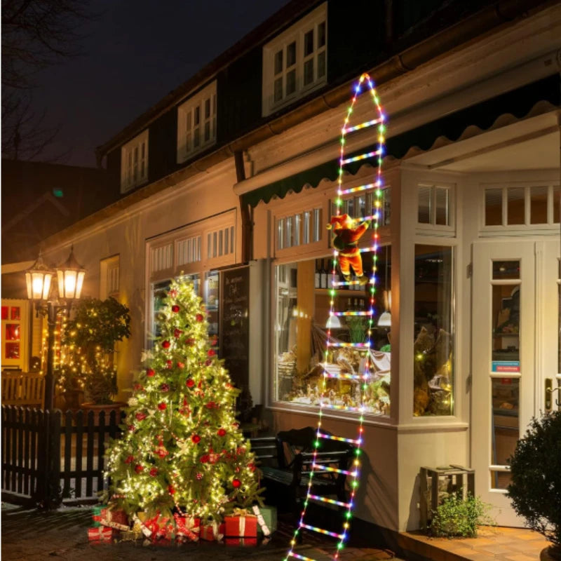 Christmas LED ladder!