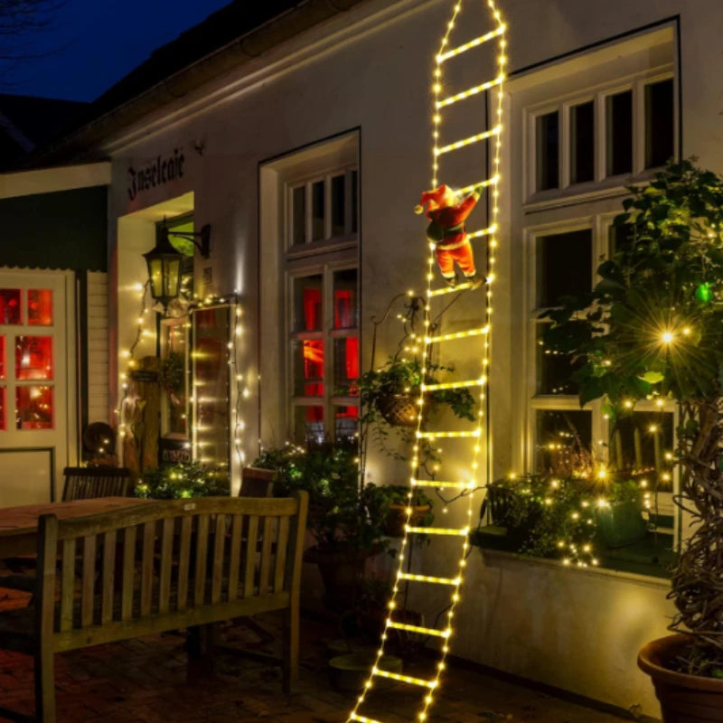 Christmas LED ladder!