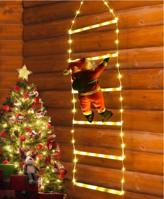 Christmas LED ladder!