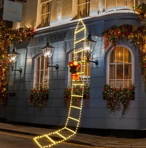 Christmas LED ladder!